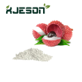 Food Grade Spray Dried Lychee Powder